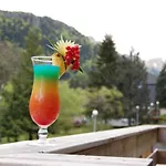 Gran Carlina 4* Le Mont-Dore
